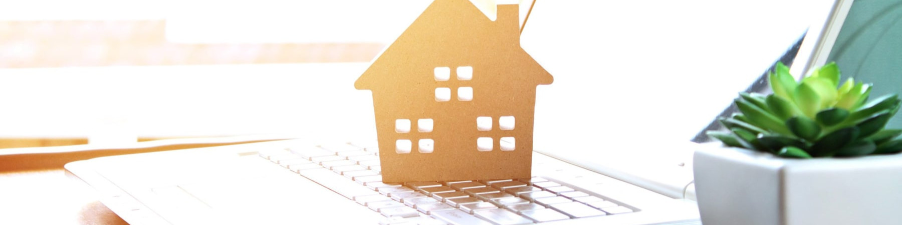 Terms of Use & Data Protection